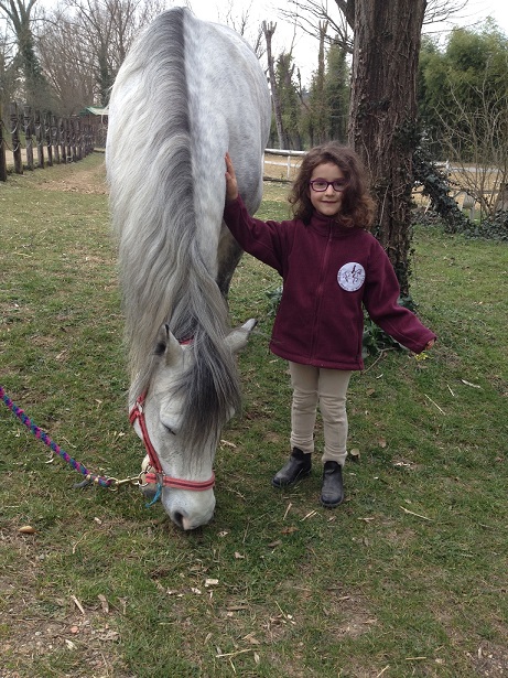 pony
