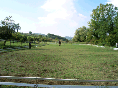 campo in erba